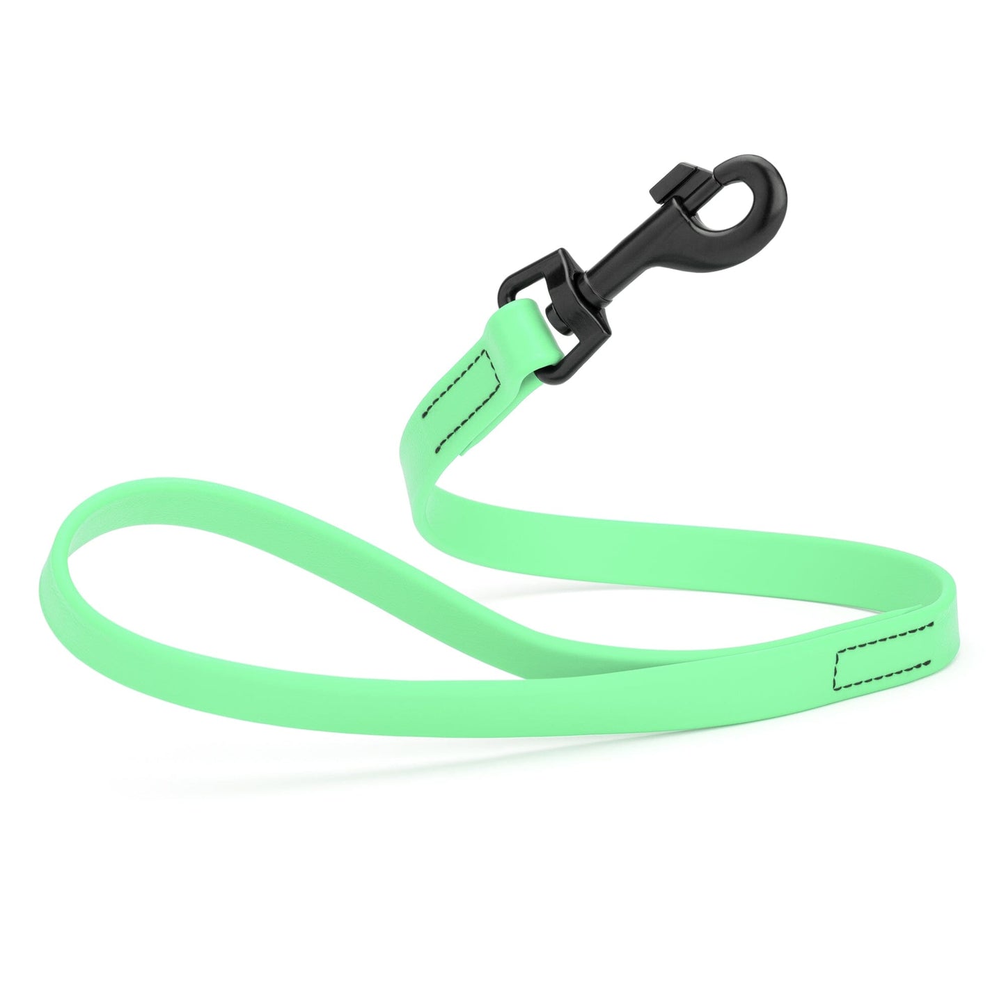 Biothane Waterproof Traffic Lead for Dogs, 2 ft Sea Foam Green 2' 3 4" Dog Leashes Dogline