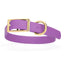 Viper Biothane Waterproof Dog Collar - Brass Hardware - Size XL (22 to 25 inches) Amethyst Purple Dog Collars Dogline