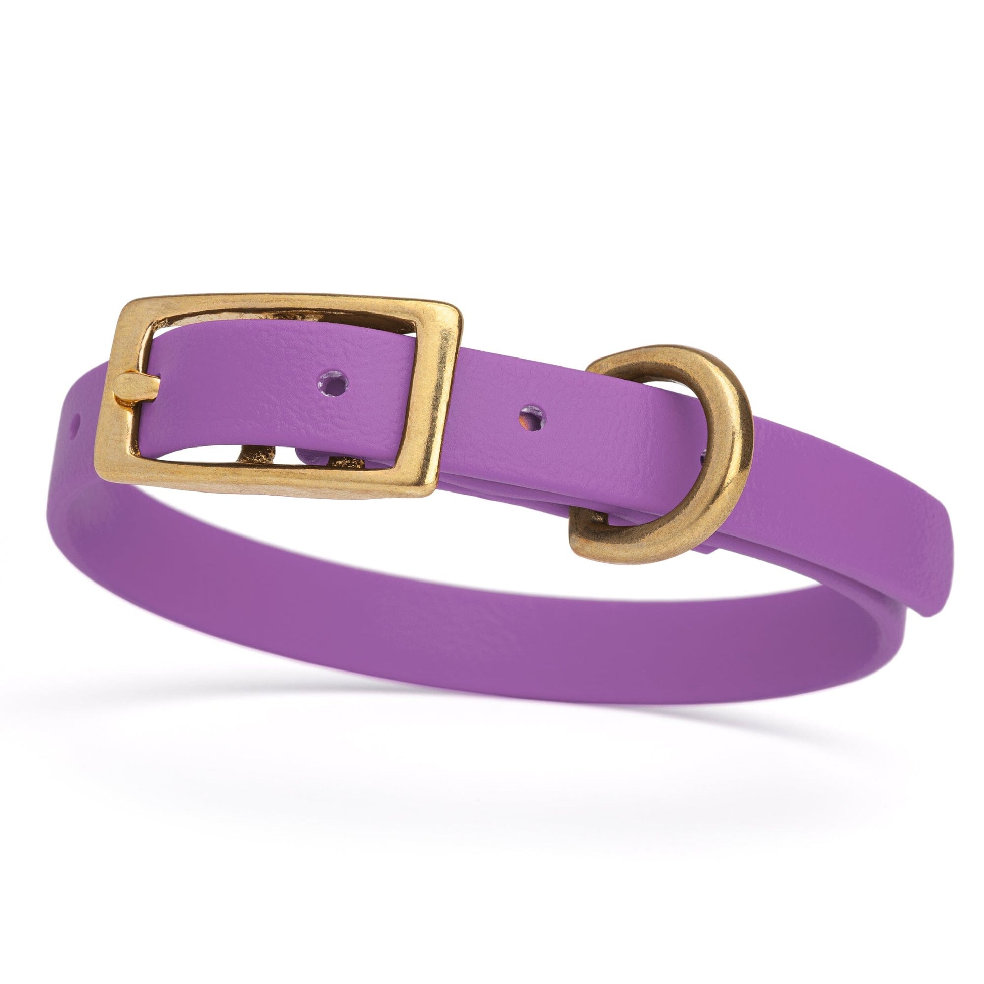 Viper Biothane Waterproof Dog Collar - Brass Hardware - Size XS (9 to 12 inches) Amethyst Purple Dog Collars Dogline