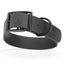Dogline Biothane Waterproof Dog Collar with Black Hardware - 1.5" Wide, Size XL (20 to 24 inches) Black Dog Collars Dogline