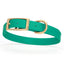 Viper Biothane Waterproof Dog Collar - Brass Hardware - Size M (15 to 18 inches) Teal Dog Collars Dogline