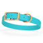 Viper Biothane Waterproof Dog Collar - Brass Hardware - Size M (15 to 18 inches) Sky Blue Dog Collars Dogline