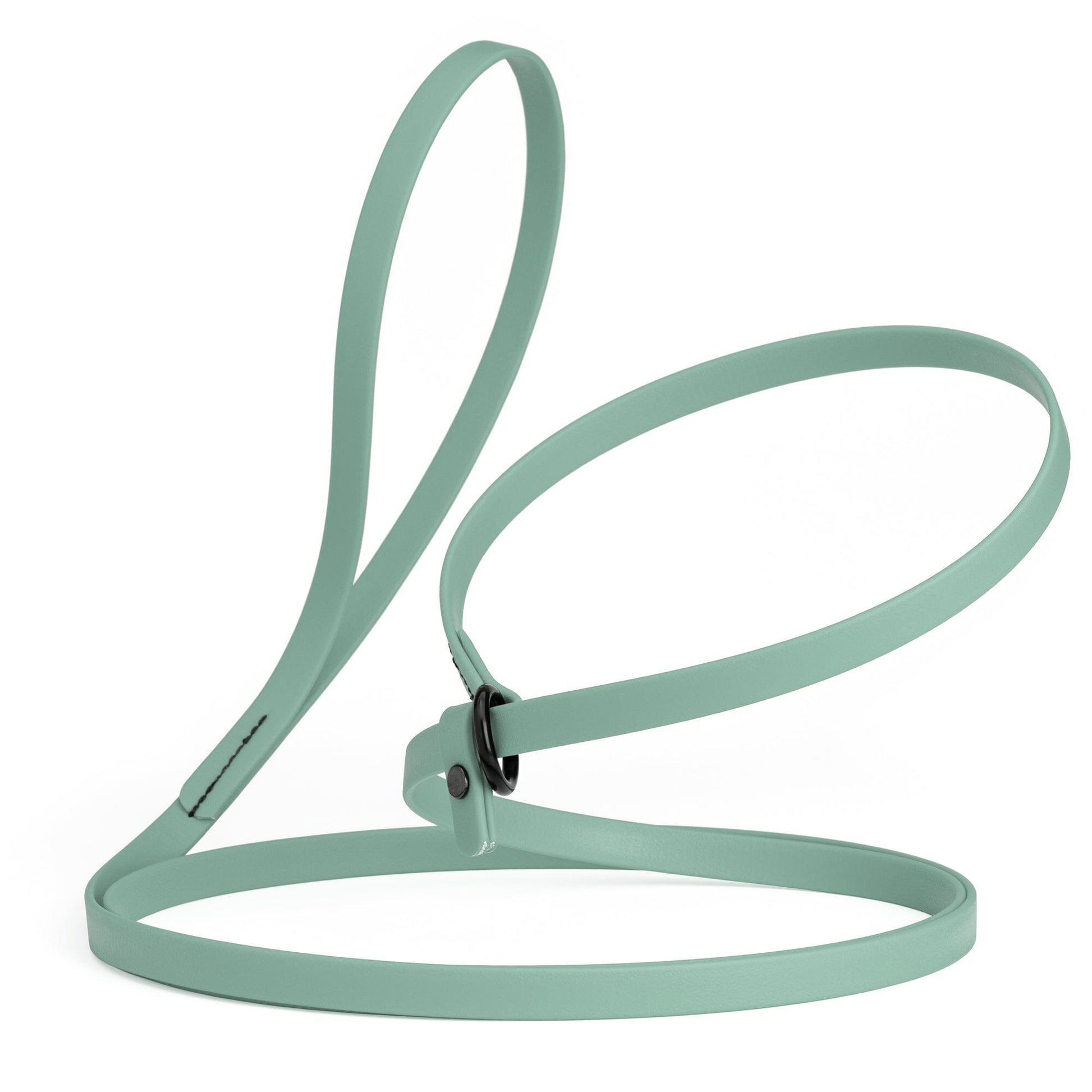 Biothane Slip Lead for Dogs, 5FT and 7FT Sage Green 7' 1 2" Dog Leashes Dogline