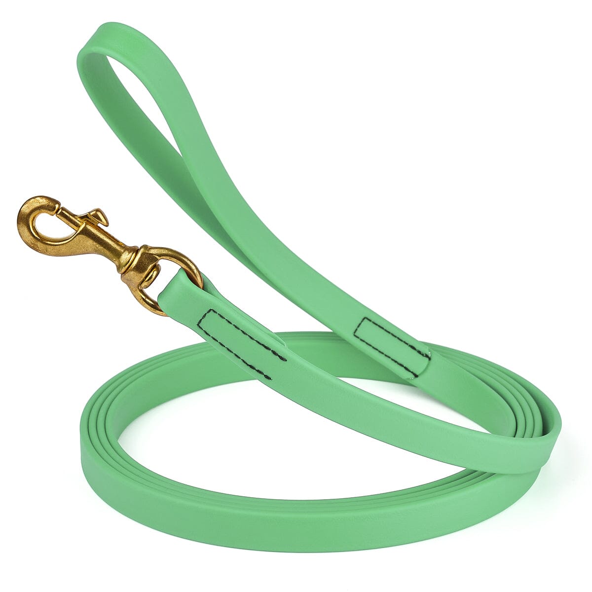 Viper Biothane Long Line 10 ft Lead with Brass Hardware Sea Foam Green 3 4" Dog Leashes Dogline