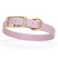 Viper Biothane Waterproof Dog Collar - Brass Hardware - Size M (15 to 18 inches) Pastel Purple Dog Collars Dogline