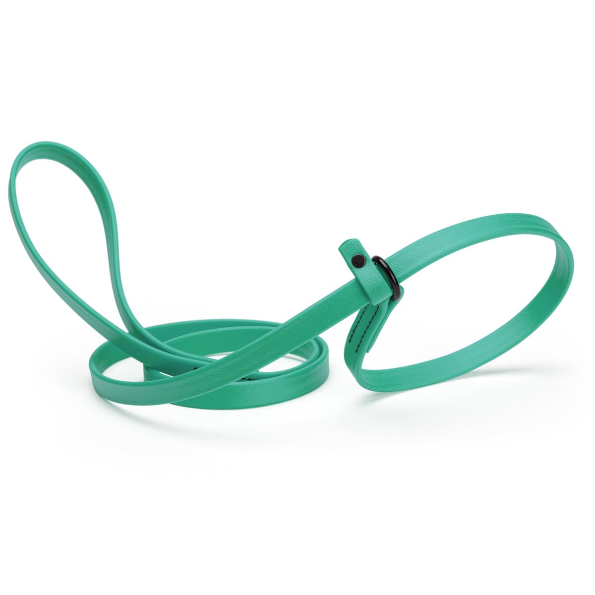 Biothane Slip Lead for Dogs, 5FT and 7FT Teal 5 8" Dog Leashes Dogline