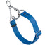 Biothane Adjustable Martingale Collar for Dogs Cerulean Blue Dog Collars Dogline