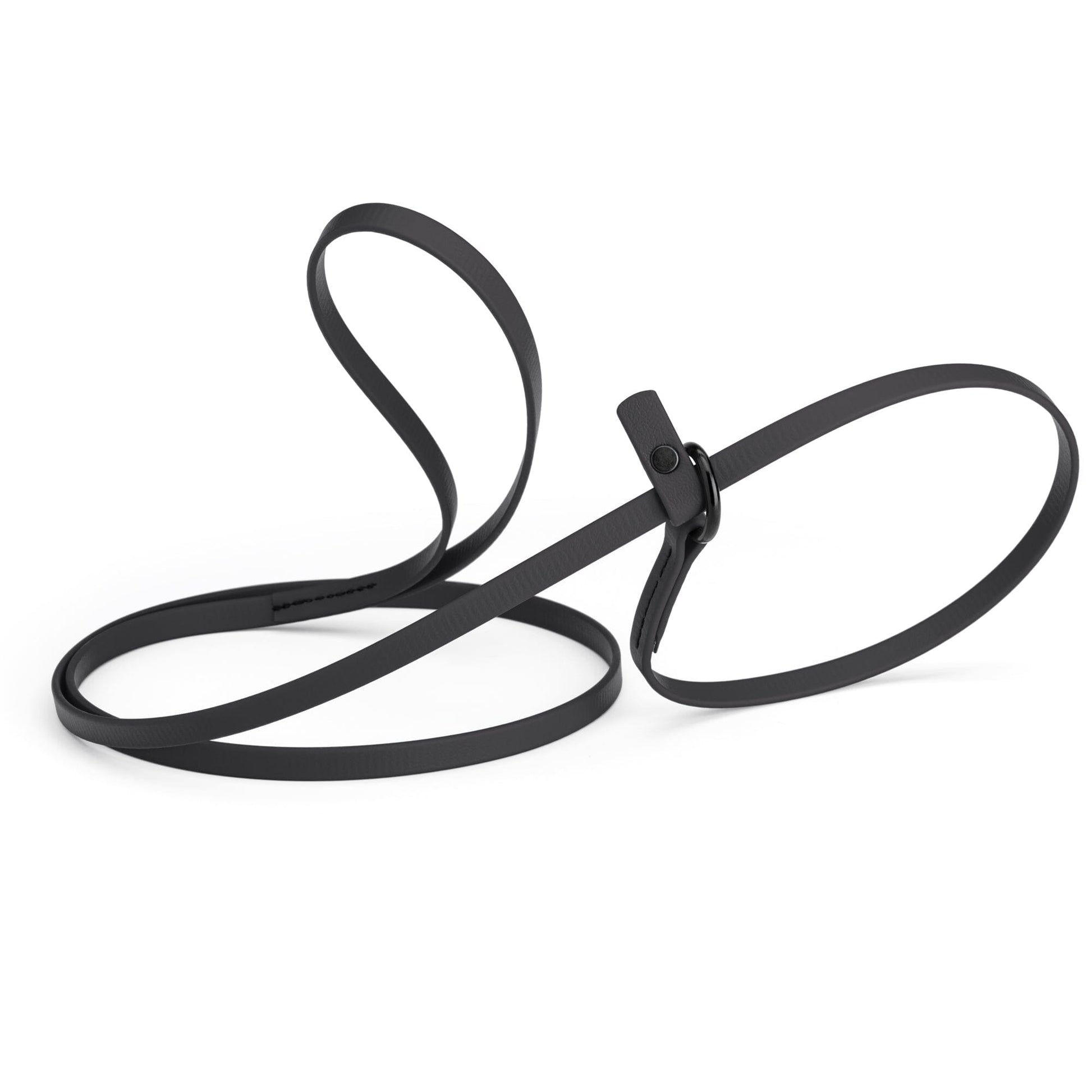 Biothane Slip Lead for Dogs, 5FT and 7FT Black 5' 3 8" Dog Leashes Dogline