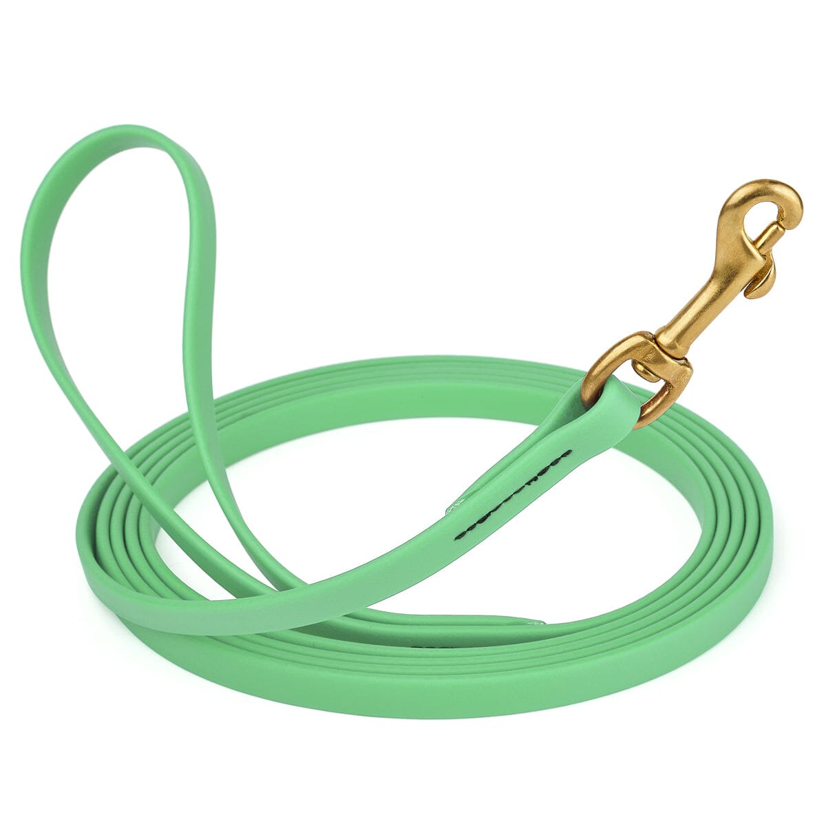 Viper Biothane Long Line 10 ft Lead with Brass Hardware Sea Foam Green 1 2" Dog Leashes Dogline