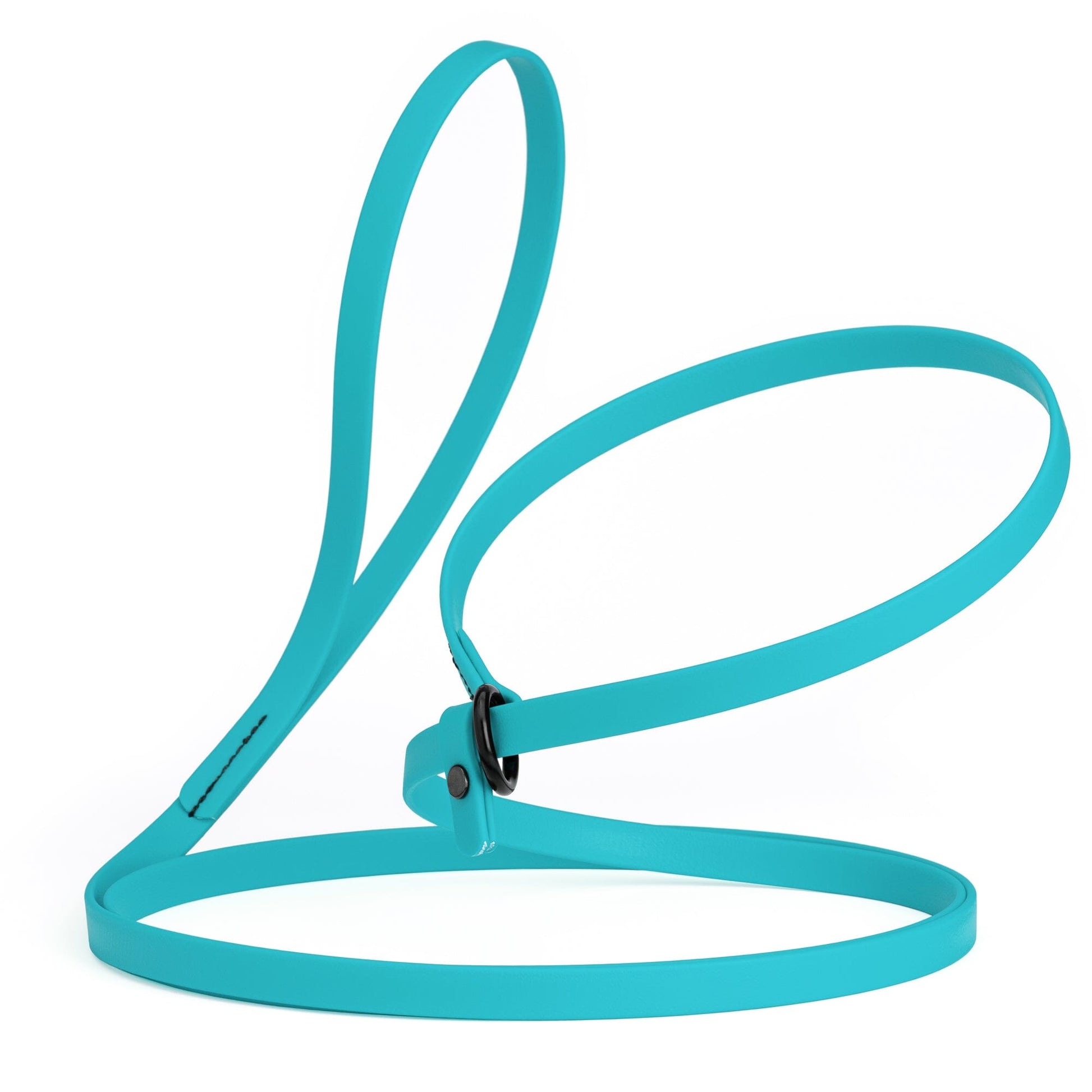 Biothane Slip Lead for Dogs, 5FT and 7FT Sky Blue 7' 1 2" Dog Leashes Dogline