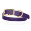 Viper Biothane Waterproof Dog Collar - Brass Hardware - Size XL (22 to 25 inches) Violet Purple Dog Collars Dogline