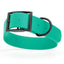 Dogline Biothane Waterproof Dog Collar with Black Hardware - 1.5" Wide, Size XL (20 to 24 inches) Teal Dog Collars Dogline