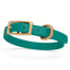 Viper Biothane Waterproof Dog Collar with Brass Hardware Blue Aqua L 9"-12" x W 1 2" Dog Collars Dogline