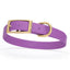 Viper Biothane Waterproof Dog Collar - Brass Hardware - Size M (15 to 18 inches) Amethyst Purple Dog Collars Dogline