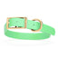 Viper Biothane Waterproof Dog Collar - Brass Hardware - Size XL (22 to 25 inches) Sea Foam Green Dog Collars Dogline