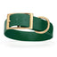 Viper Biothane Waterproof Dog Collar - Brass Hardware - 1.5in Wide, Size XXL (24 to 28 inches) Hunter Green Dog Collars Dogline