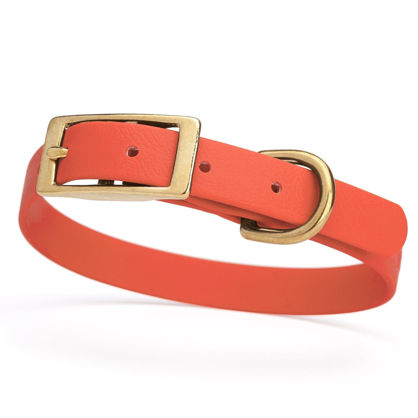 Viper Biothane Waterproof Dog Collar - Brass Hardware - Size S (12 to 15 inches) Coral Dog Collars Dogline