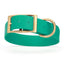 Viper Biothane Waterproof Dog Collar - Brass Hardware - 1.5in Wide, Size XL (20 to 24 inches) Teal Dog Collars Dogline