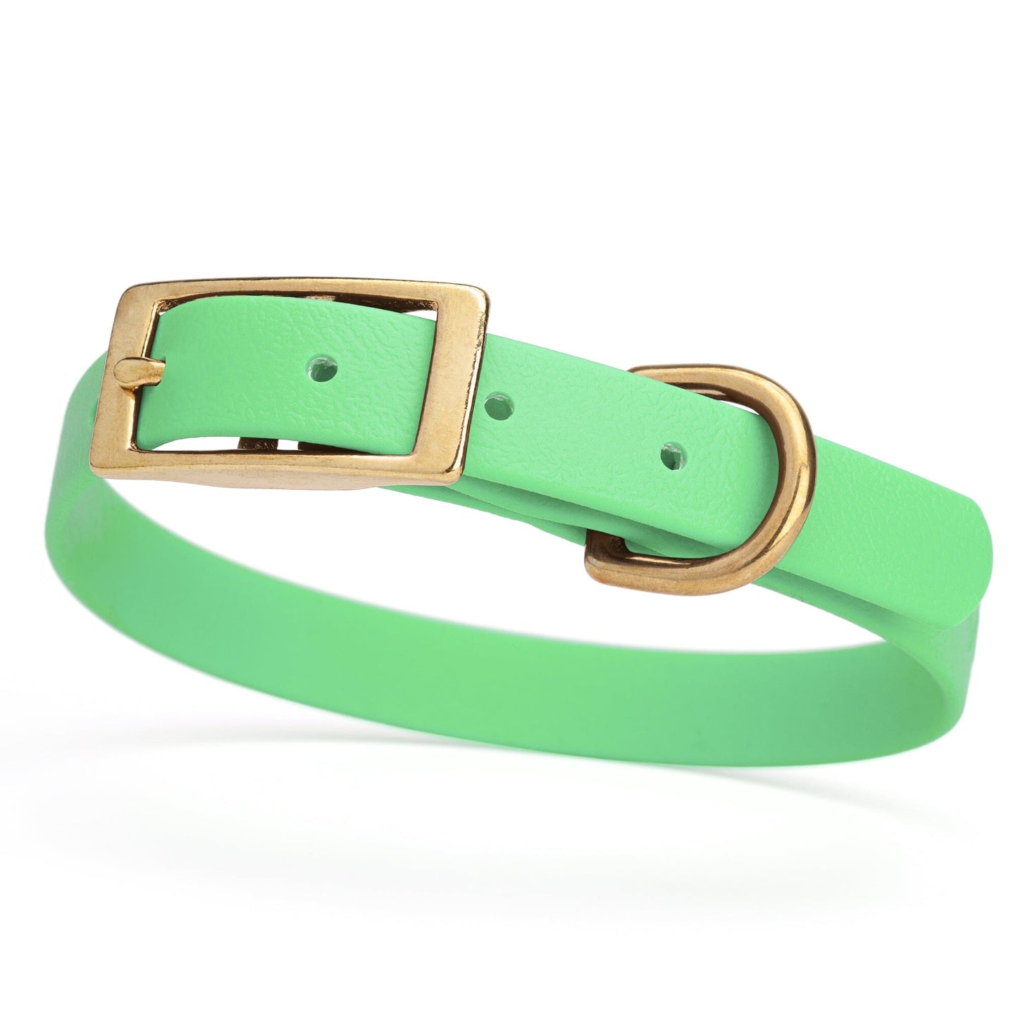 Viper Biothane Waterproof Dog Collar - Brass Hardware - Size S (12 to 15 inches) Sea Foam Green Dog Collars Dogline