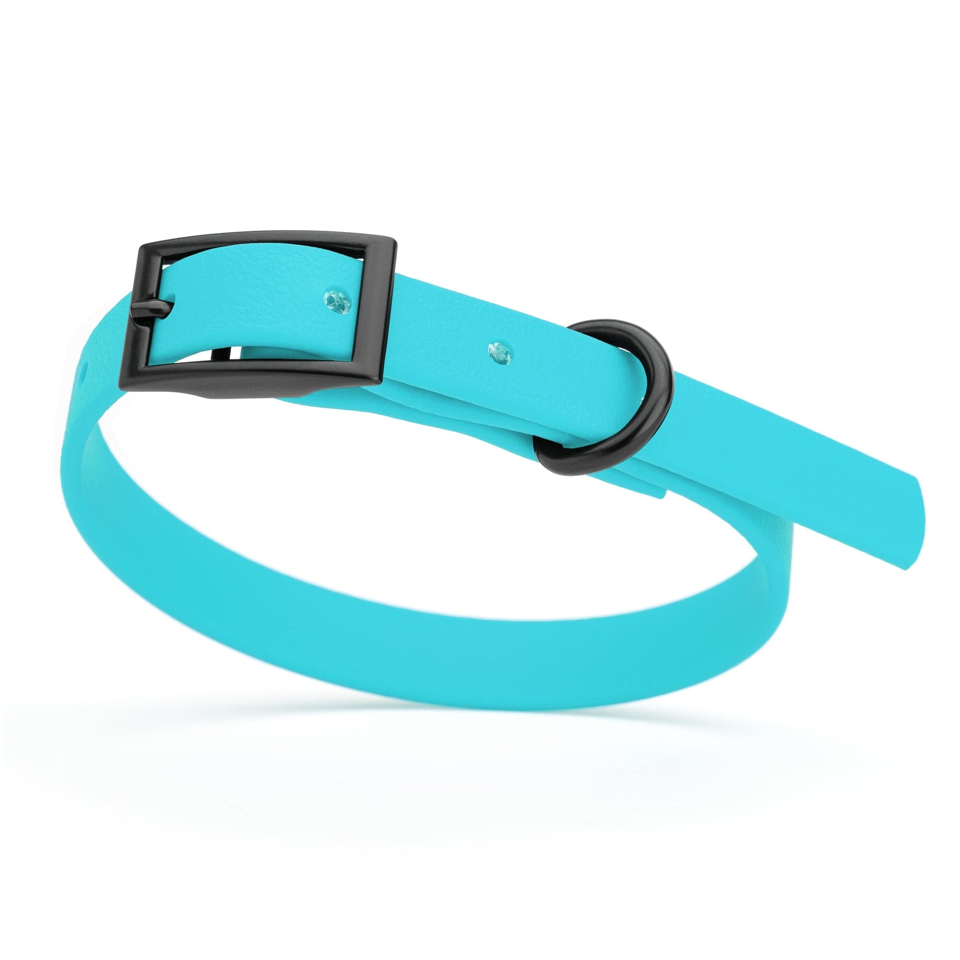 Biothane Waterproof Dog Collar - X-Small (9 to 12 inches) Sky Blue L 9"-12" x W 1 2" Dog Collars Dogline