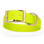 Viper Biothane Waterproof Dog Collar - Brass Hardware - 1.5in Wide, Size XXL (24 to 28 inches) Safety Yellow Dog Collars Dogline