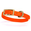 Viper Biothane Waterproof Dog Collar with Brass Hardware Hunter Orange L 9"-12" x W 1 2" Dog Collars Dogline