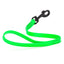 Biothane Waterproof Traffic Lead for Dogs, 2 ft Tropical Green 2' 3 4" Dog Leashes Dogline