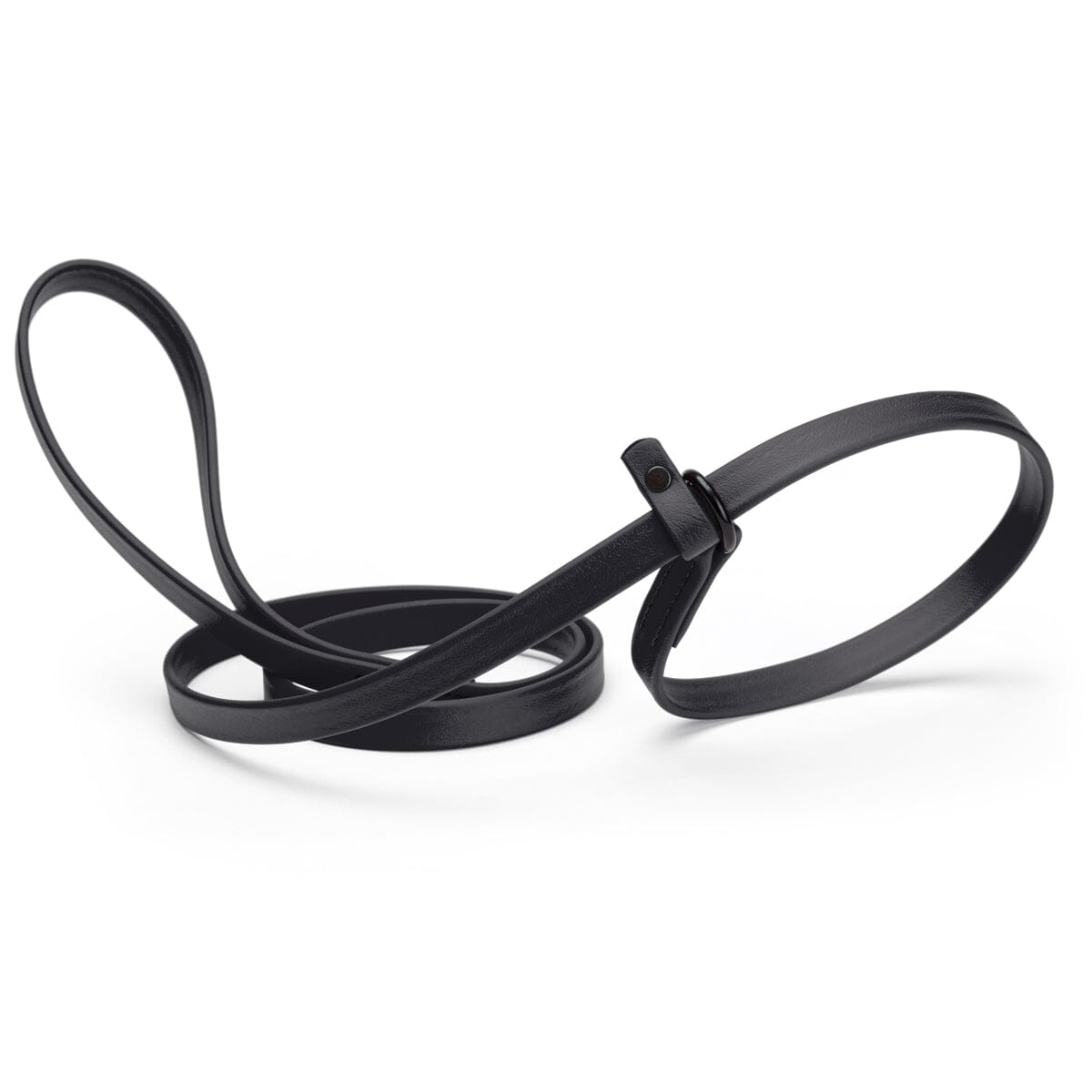 Biothane Slip Lead for Dogs, 5FT and 7FT Black 5 8" Dog Leashes Dogline