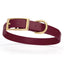 Viper Biothane Waterproof Dog Collar - Brass Hardware - Size M (15 to 18 inches) Merlot Burgundy Dog Collars Dogline