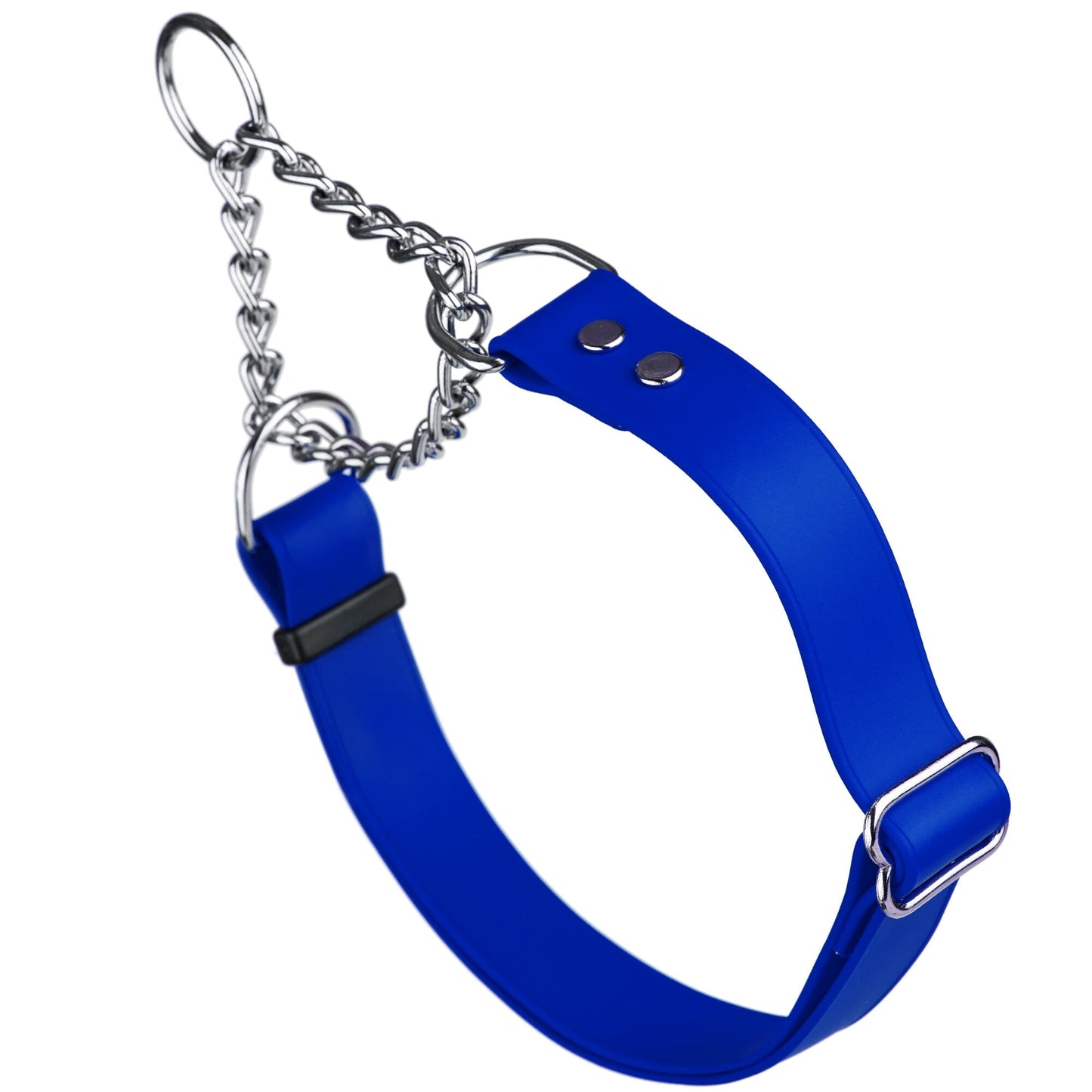 Biothane Adjustable Martingale Collar for Dogs Blueberry Royal Dog Collars Dogline