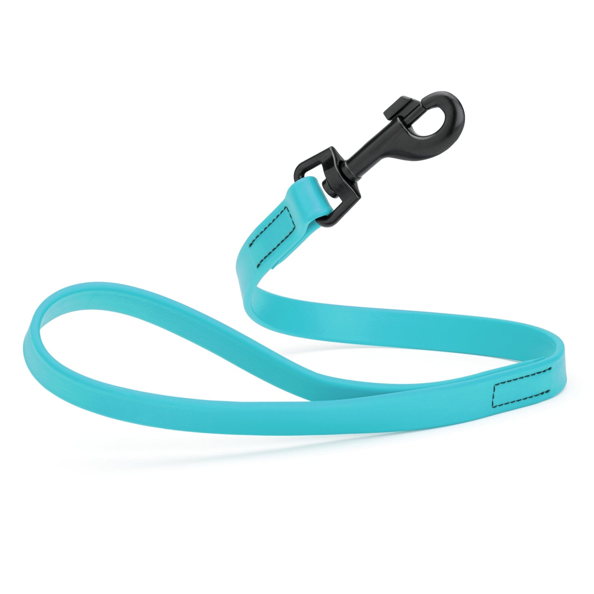 Biothane Waterproof Traffic Lead for Dogs, 2 ft Sky Blue 2' 3 4" Dog Leashes Dogline