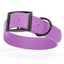 Dogline Biothane Waterproof Dog Collar with Black Hardware - 1.5" Wide, Size XL (20 to 24 inches) Amethyst Purple Dog Collars Dogline