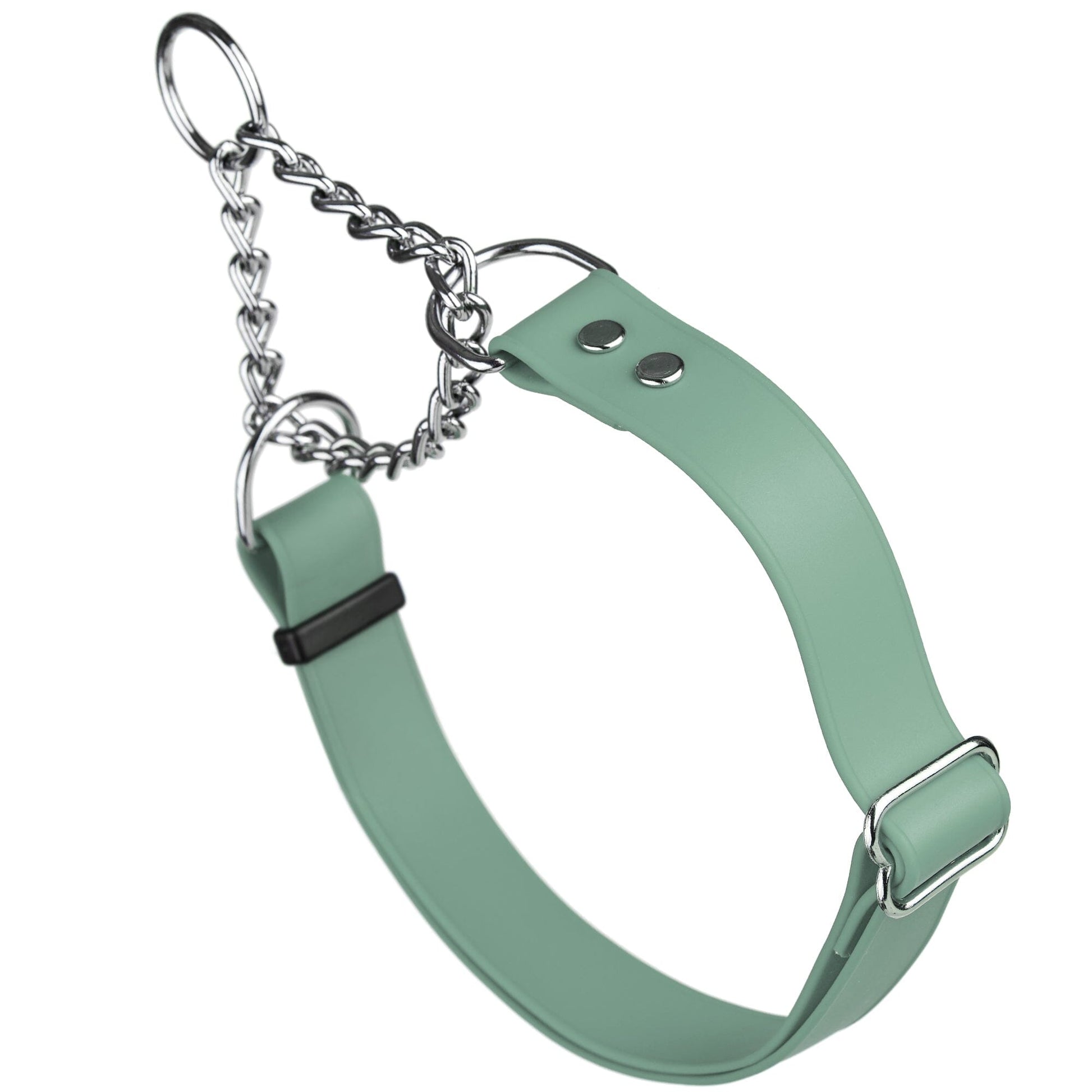 Biothane Adjustable Martingale Collar for Dogs Sage Green Dog Collars Dogline