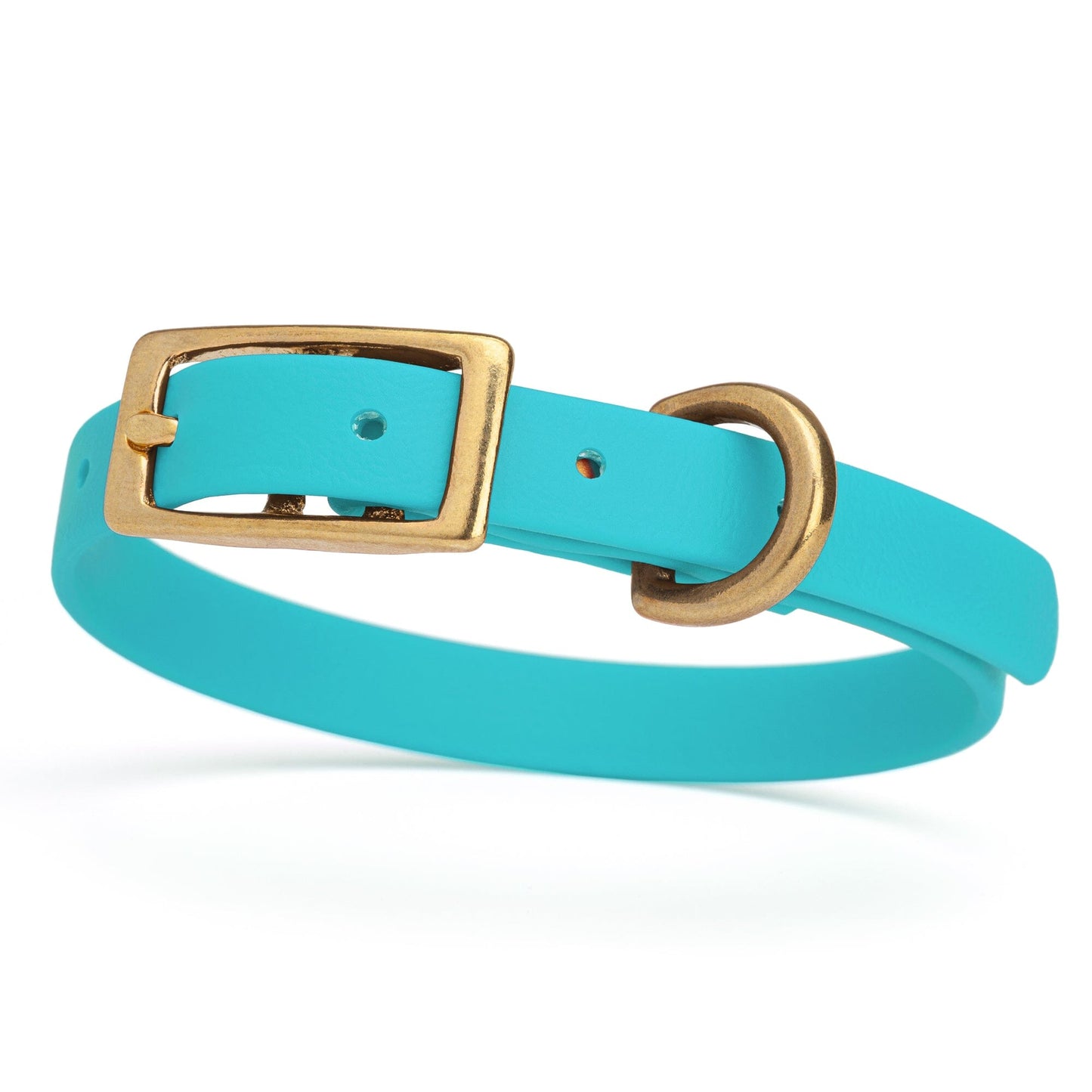 Viper Biothane Waterproof Dog Collar with Brass Hardware Sky Blue L 9"-12" x W 1 2" Dog Collars Dogline
