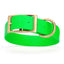 Viper Biothane Waterproof Dog Collar - Brass Hardware - 1.5in Wide, Size XL (20 to 24 inches) Tropical Green Dog Collars Dogline