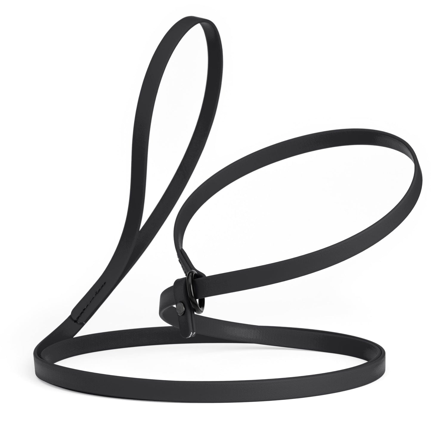 Biothane Slip Lead for Dogs, 5FT and 7FT Black 7' 1 2" Dog Leashes Dogline