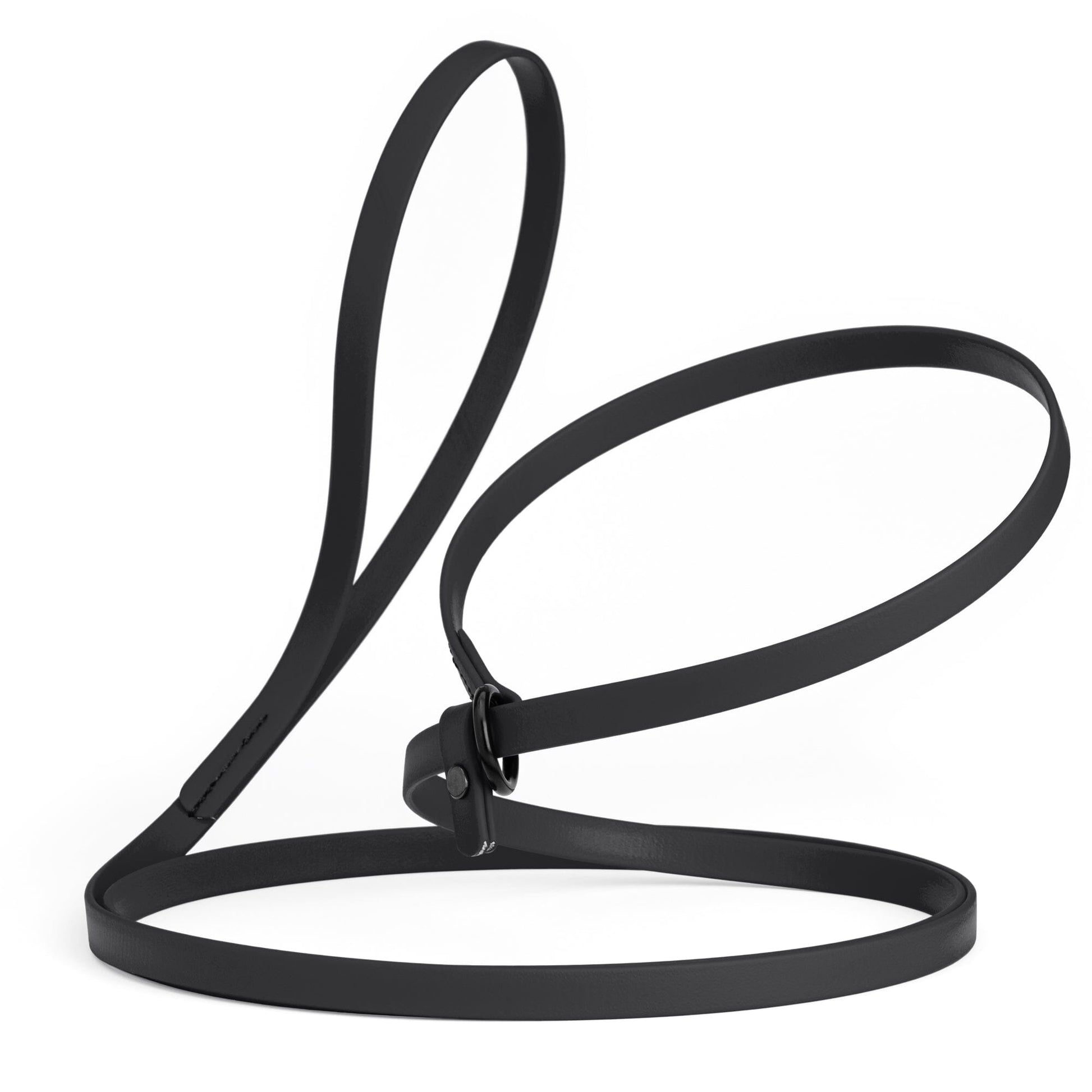 Biothane Slip Lead for Dogs, 5FT and 7FT Black 7' 1 2" Dog Leashes Dogline