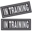 Dogline 3D Rubber Removable Patches for Dog Harness and Vest In Training Dog Patches Dogline