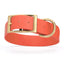 Viper Biothane Waterproof Dog Collar - Brass Hardware - 1.5in Wide, Size XXL (24 to 28 inches) Coral Dog Collars Dogline