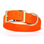 Viper Biothane Waterproof Dog Collar - Brass Hardware - 1.5in Wide, Size XL (20 to 24 inches) Hunter Orange Dog Collars Dogline