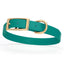 Viper Biothane Waterproof Dog Collar - Brass Hardware - Size M (15 to 18 inches) Blue Aqua Dog Collars Dogline