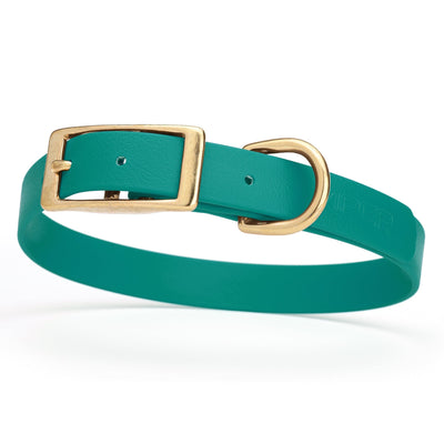 Viper Biothane Waterproof Dog Collar - Brass Hardware - Size M (15 to 18 inches) Blue Aqua Dog Collars Dogline