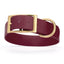 Viper Biothane Waterproof Dog Collar - Brass Hardware - 1.5in Wide, Size XXL (24 to 28 inches) Merlot Burgundy Dog Collars Dogline