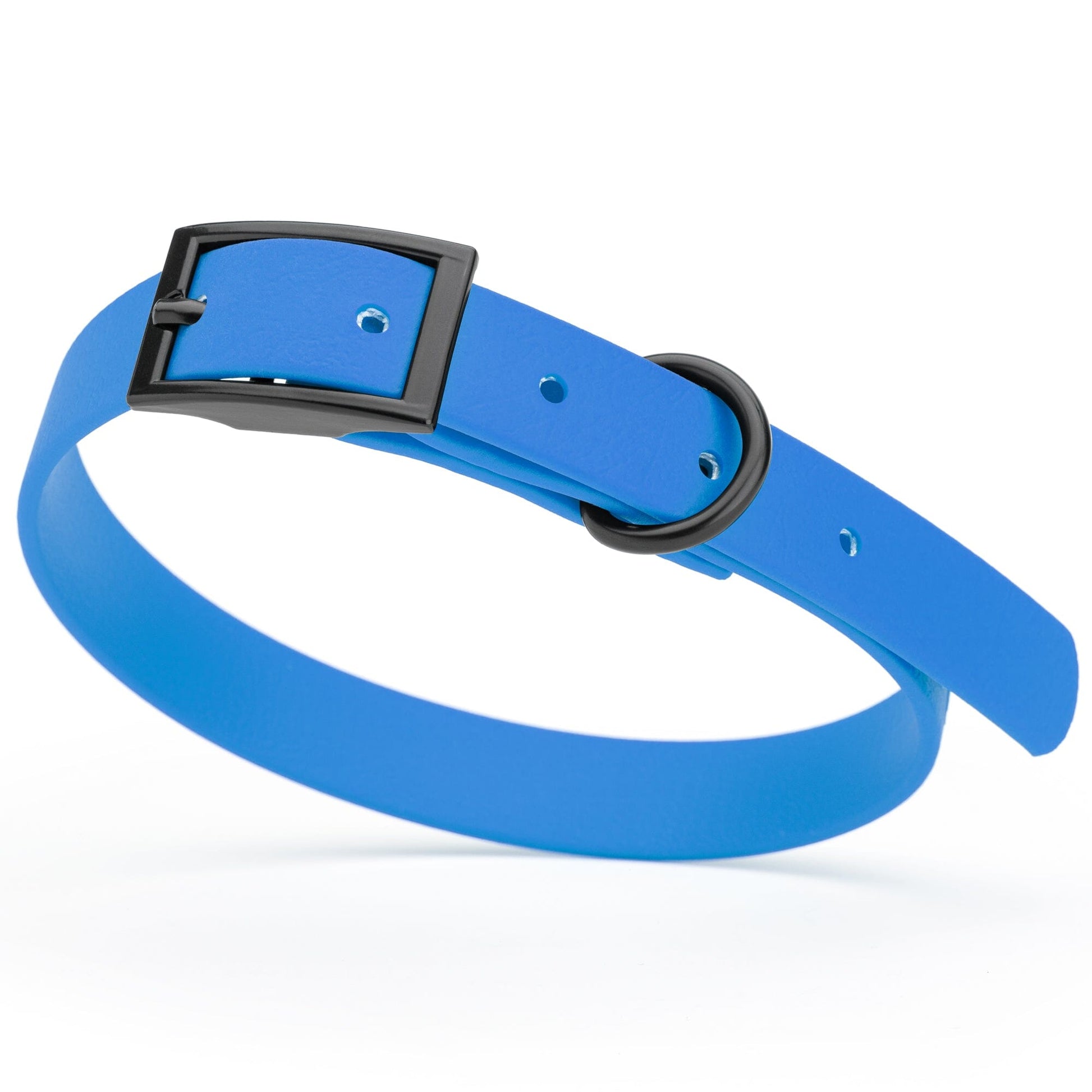 Dogline Biothane Waterproof Dog Collar with Black Hardware - Size S (12 to 15 inches) Cerulean Blue Dog Collars Dogline