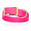 Viper Biothane Waterproof Dog Collar - Brass Hardware - 1.5in Wide, Size L (16 to 20 inches) Passionfruit Pink Dog Collars Dogline