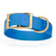 Viper Biothane Waterproof Dog Collar - Brass Hardware - 1.5in Wide, Size L (16 to 20 inches) Cerulean Blue Dog Collars Dogline