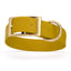 Viper Biothane Waterproof Dog Collar - Brass Hardware - 1.5in Wide, Size XL (20 to 24 inches) Treasure Gold Dog Collars Dogline