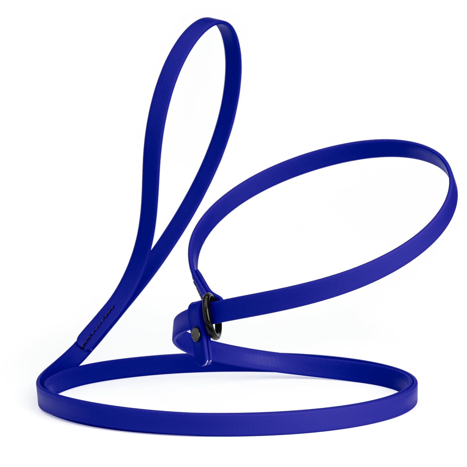 Biothane Slip Lead for Dogs, 5FT and 7FT Blueberry Royal 7' 1 2" Dog Leashes Dogline