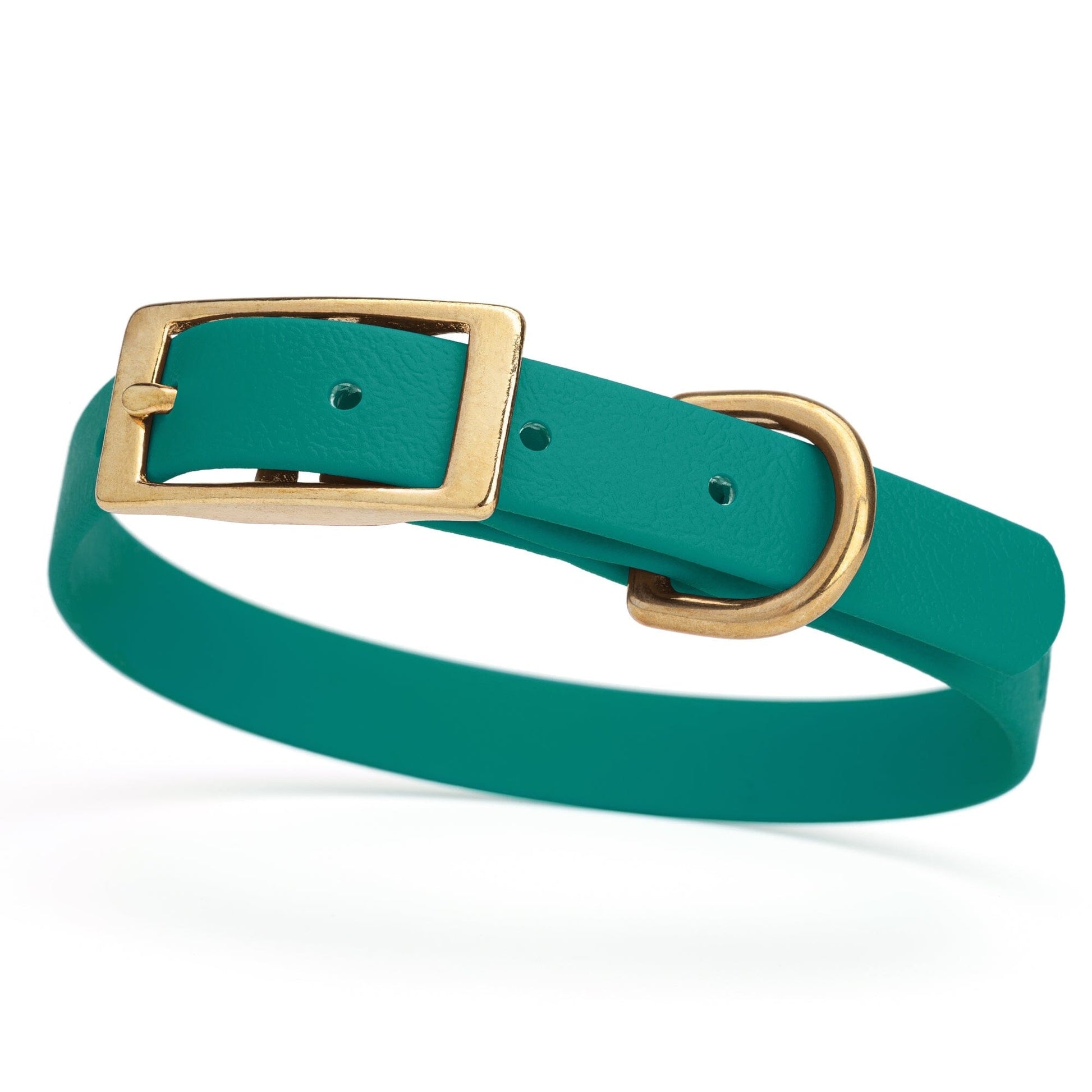 Viper Biothane Waterproof Dog Collar - Brass Hardware - Size S (12 to 15 inches) Blue Aqua Dog Collars Dogline