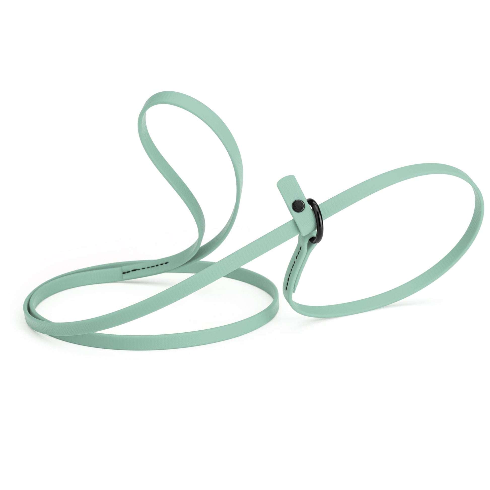 Biothane Slip Lead for Dogs, 5FT and 7FT Sage Green 5' 3 8" Dog Leashes Dogline